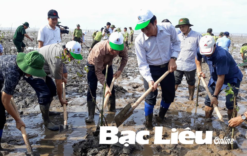 Kinh nghiệm xây dựng mô hình điểm Khu dân cư bảo vệ môi trường và ứng phó  với biến đổi khí hậu ở Bắc Kạn  Các cuộc vận động phong trào